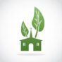 Plant A New England Church